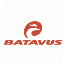 Batavus fiets kopen